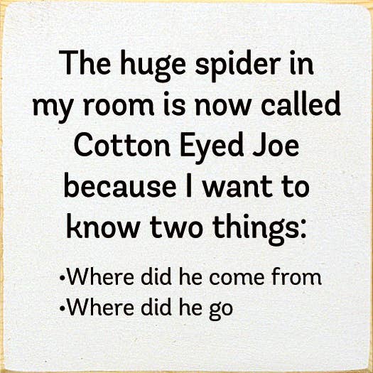 SAWDUST CITY - The Huge Spider In My Room Is Now Called Cotton Eyed Joe