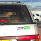 I sold STATE SECRETS for CASH Bumper Sticker