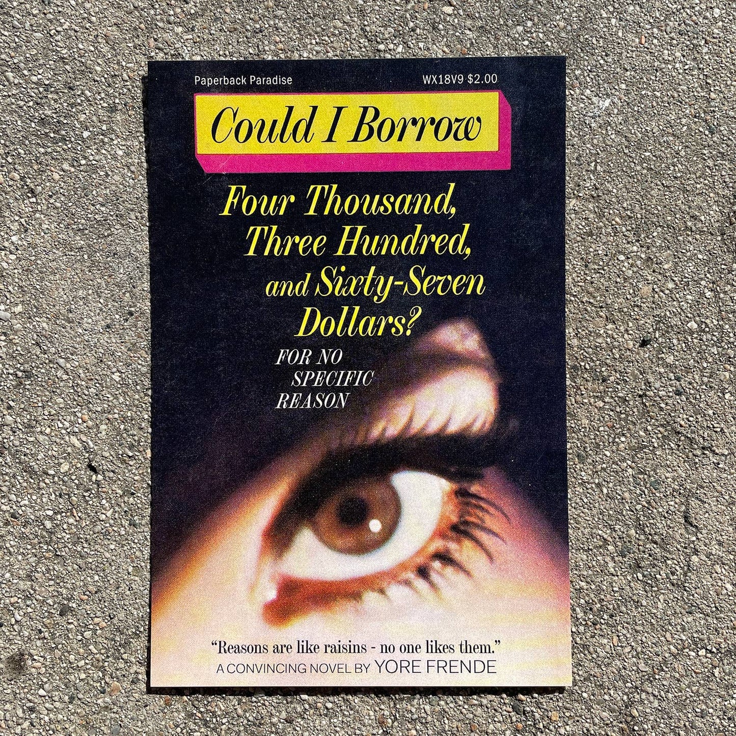 Paperback Paradise - Can I Borrow Four Thousand, Three Hundred... Postcard