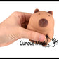 1 Soft Doh Capybara Animal Stress Balls
