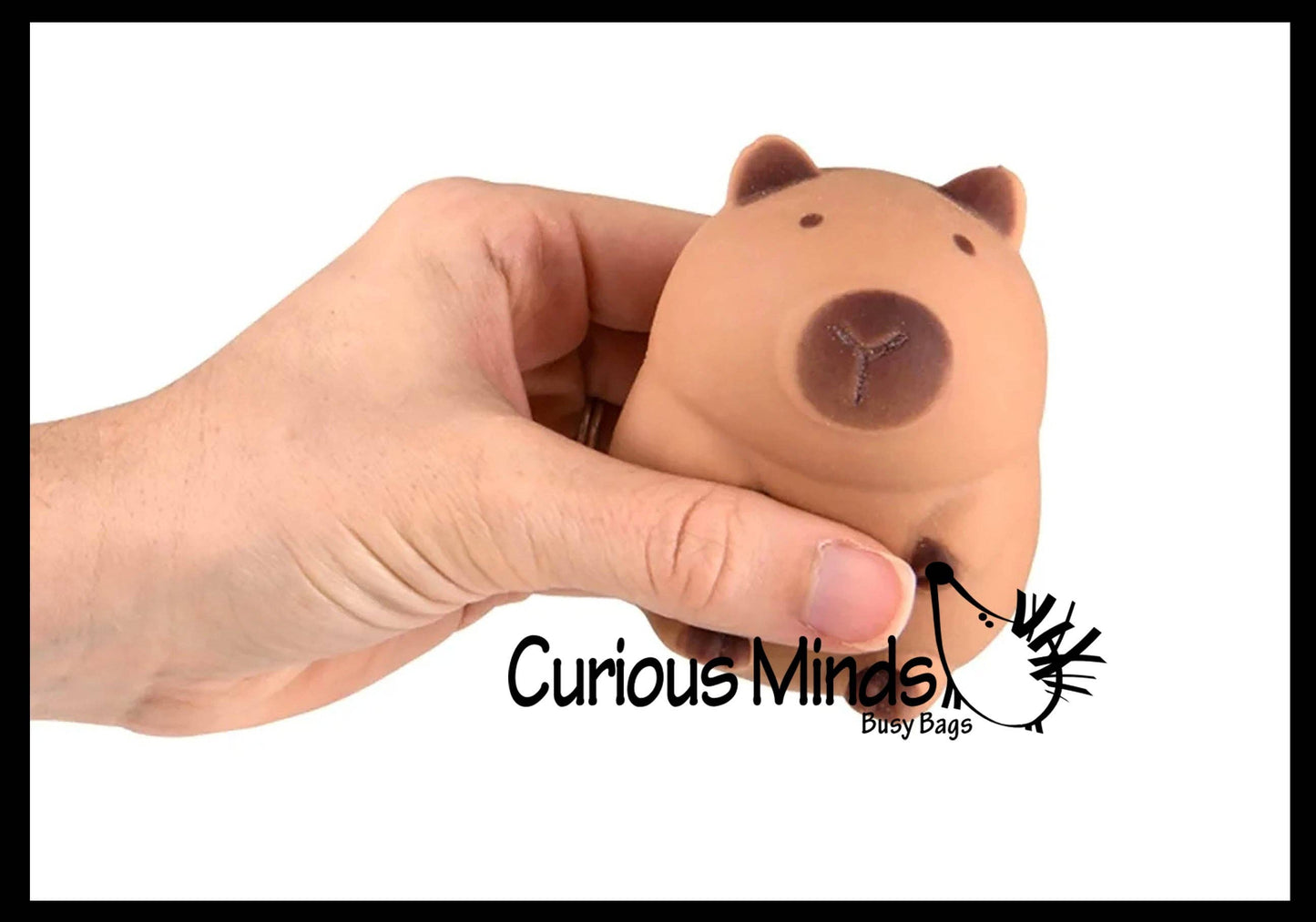 1 Soft Doh Capybara Animal Stress Balls