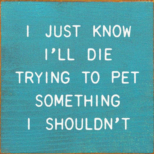 SAWDUST CITY - I Just Know I'll Die Trying To Pet Something I Shouldn't
