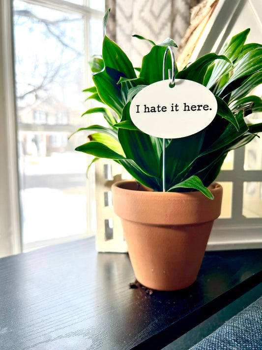 I Hate It Here Flower Pot Plant Stake  