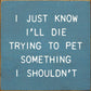 SAWDUST CITY - I Just Know I'll Die Trying To Pet Something I Shouldn't
