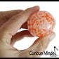 Small 1.5" Confetti Bead Ball Set with Thick Gel.  1 Set