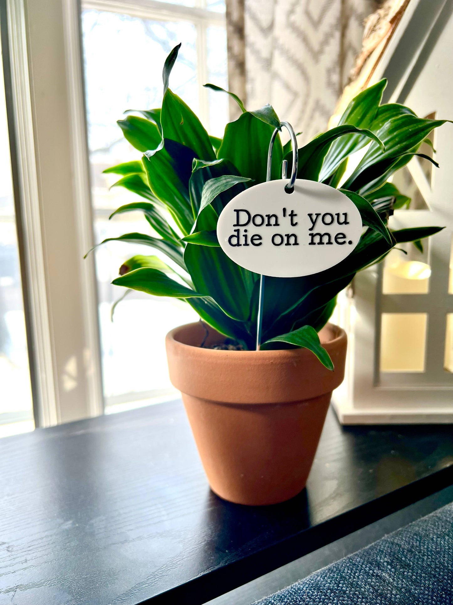 Don't You Die On Me Flower Pot Plant Stake 