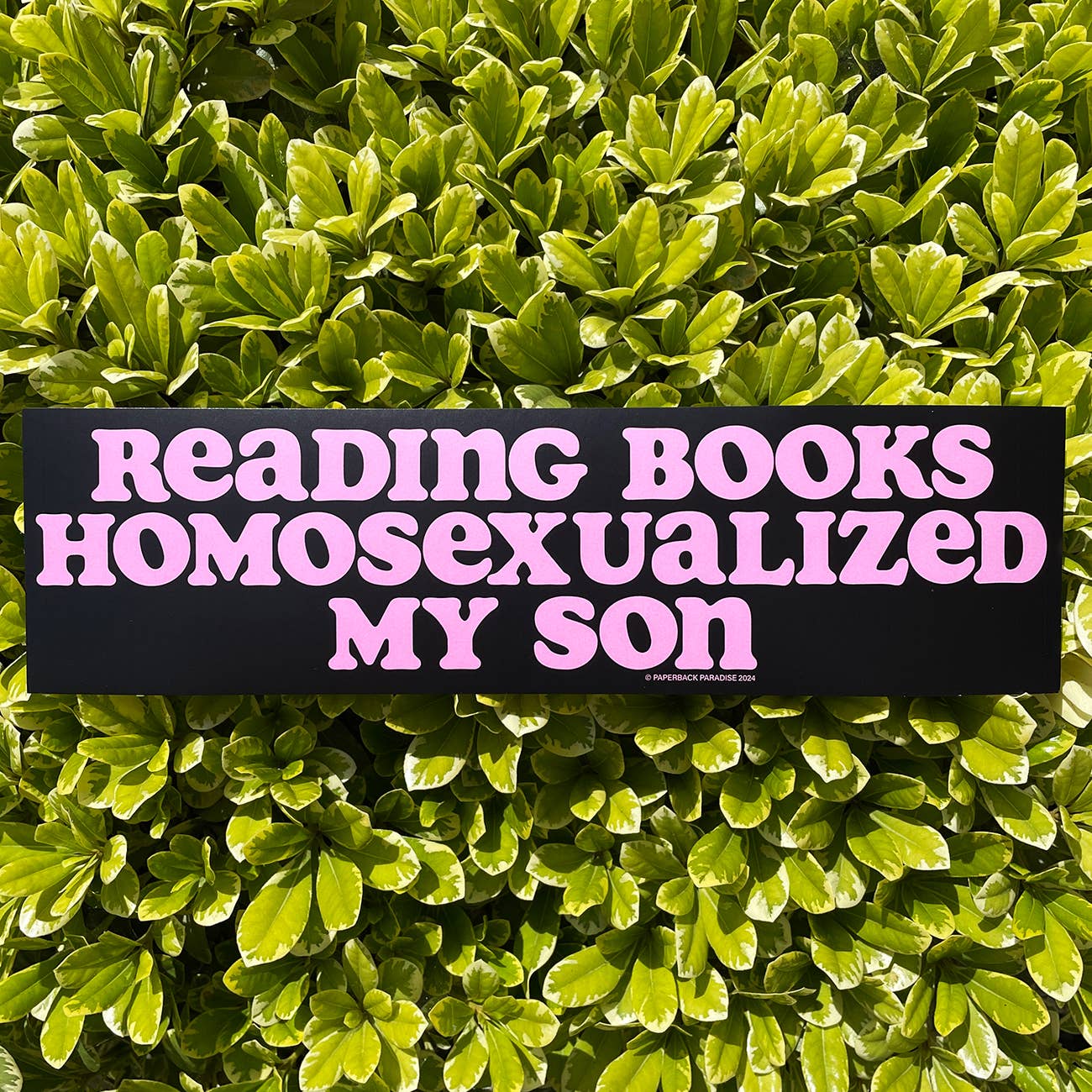 Reading Books Homosexualized My Son Bumper Sticker