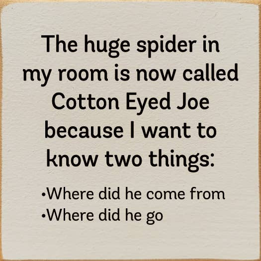 SAWDUST CITY - The Huge Spider In My Room Is Now Called Cotton Eyed Joe