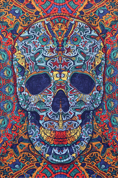 Sunshine Joy - 3D Tapestry Psychedelic Skull Hanger Packaged Tapestries
