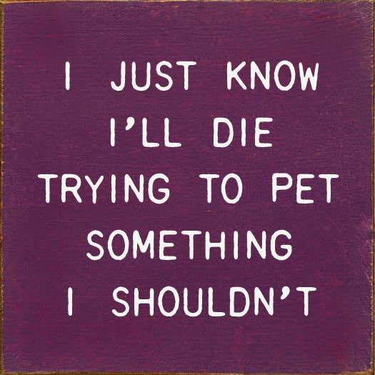 SAWDUST CITY - I Just Know I'll Die Trying To Pet Something I Shouldn't