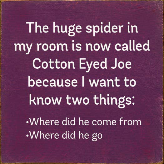 SAWDUST CITY - The Huge Spider In My Room Is Now Called Cotton Eyed Joe