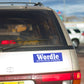Word Game Destroyed My Marriage Bumper Sticker