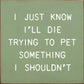 SAWDUST CITY - I Just Know I'll Die Trying To Pet Something I Shouldn't