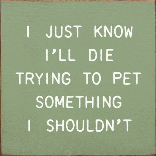 SAWDUST CITY - I Just Know I'll Die Trying To Pet Something I Shouldn't