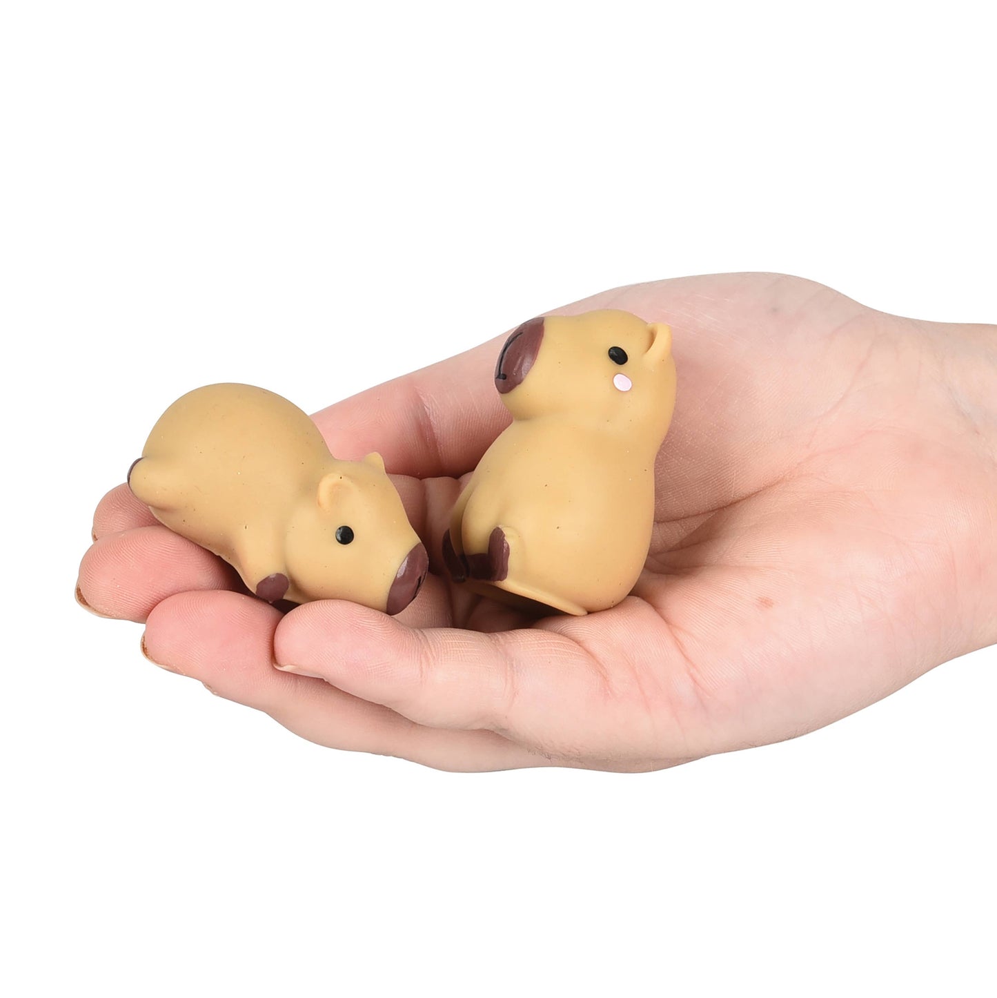 Mini Squishy Capybaras Tub -  12 pieces per tub