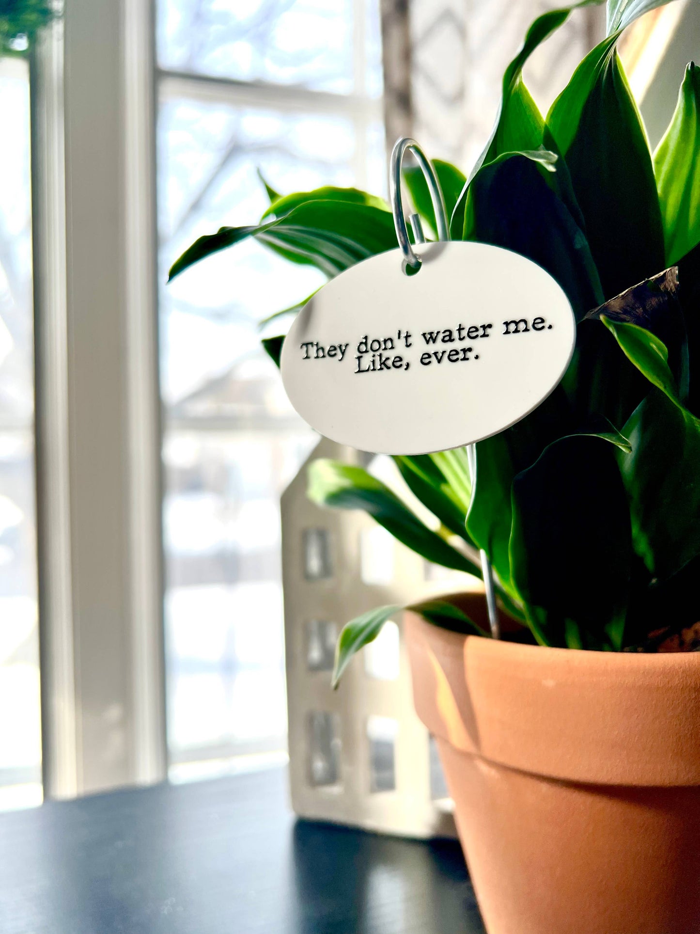 They Don't Water Me Like Ever Flower Pot Plant Stake 