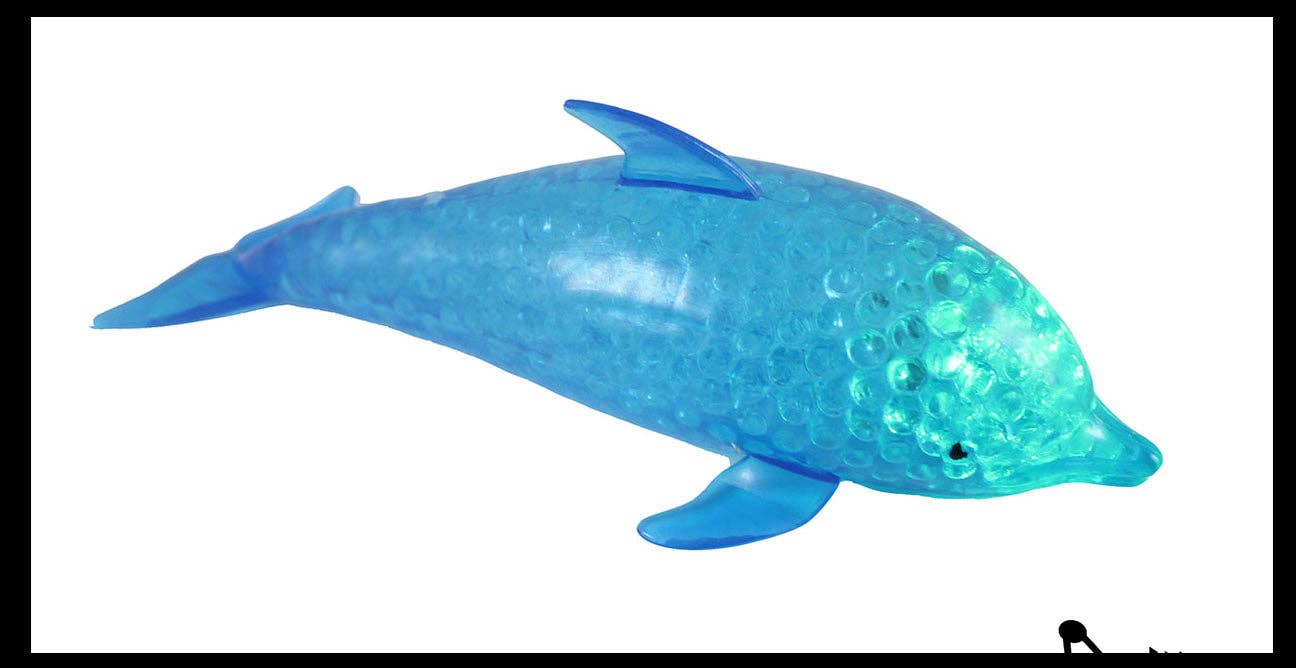 Curious Minds Toys - 1 Jumbo Dolphin Water Bead Filled Squeeze Stress Squishy