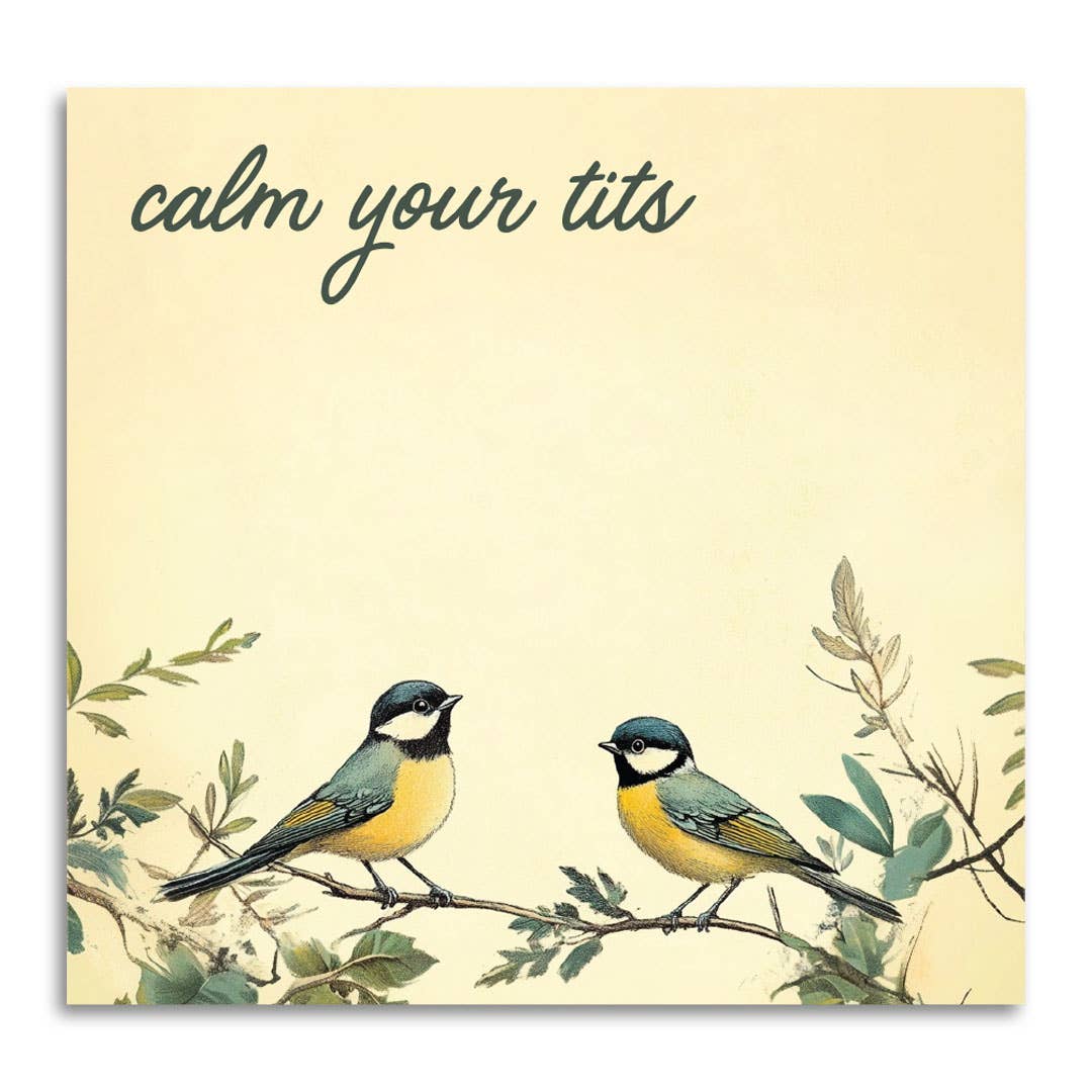 Calm Your Tits - Funny Sarcastic Sticky Note Pad