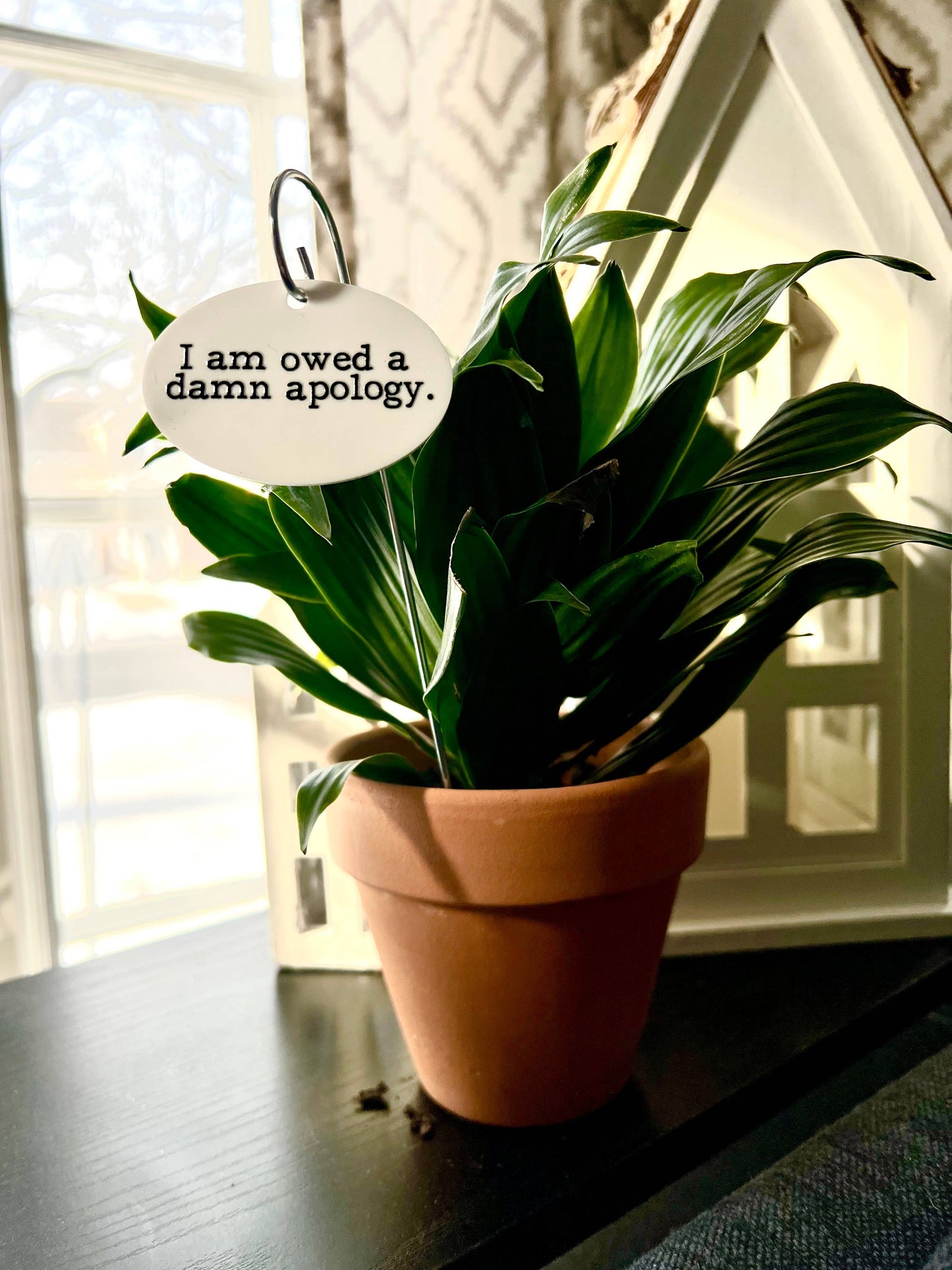 I Am Owed a Damn Apology Flower Pot Plant Stake