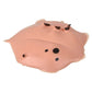 2.5" Splat Capybara 1PC