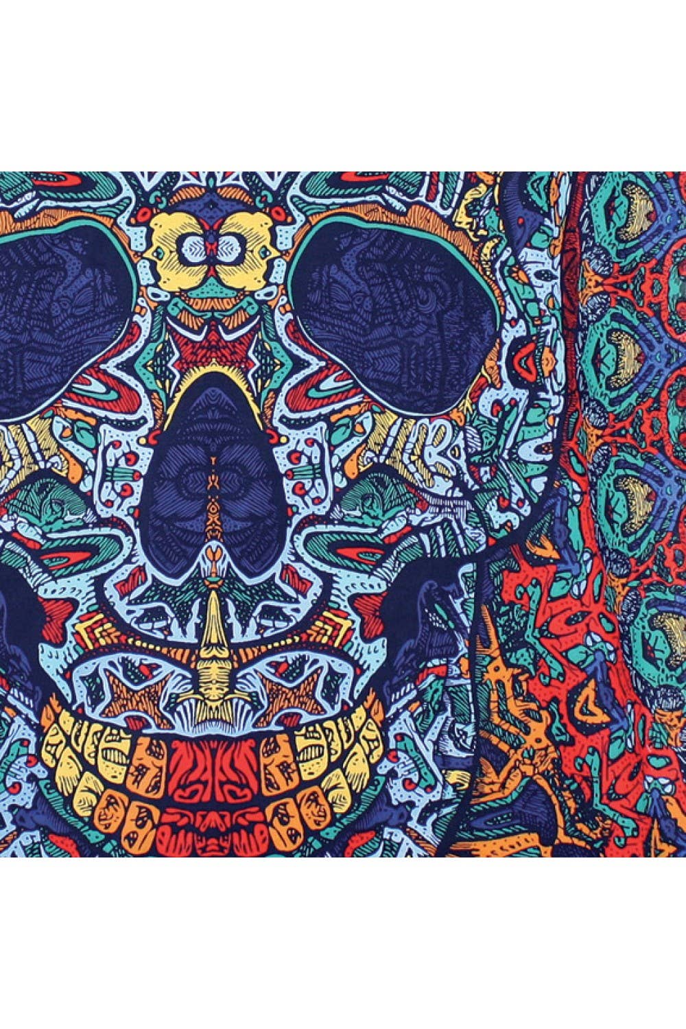 Sunshine Joy - 3D Tapestry Psychedelic Skull Hanger Packaged Tapestries