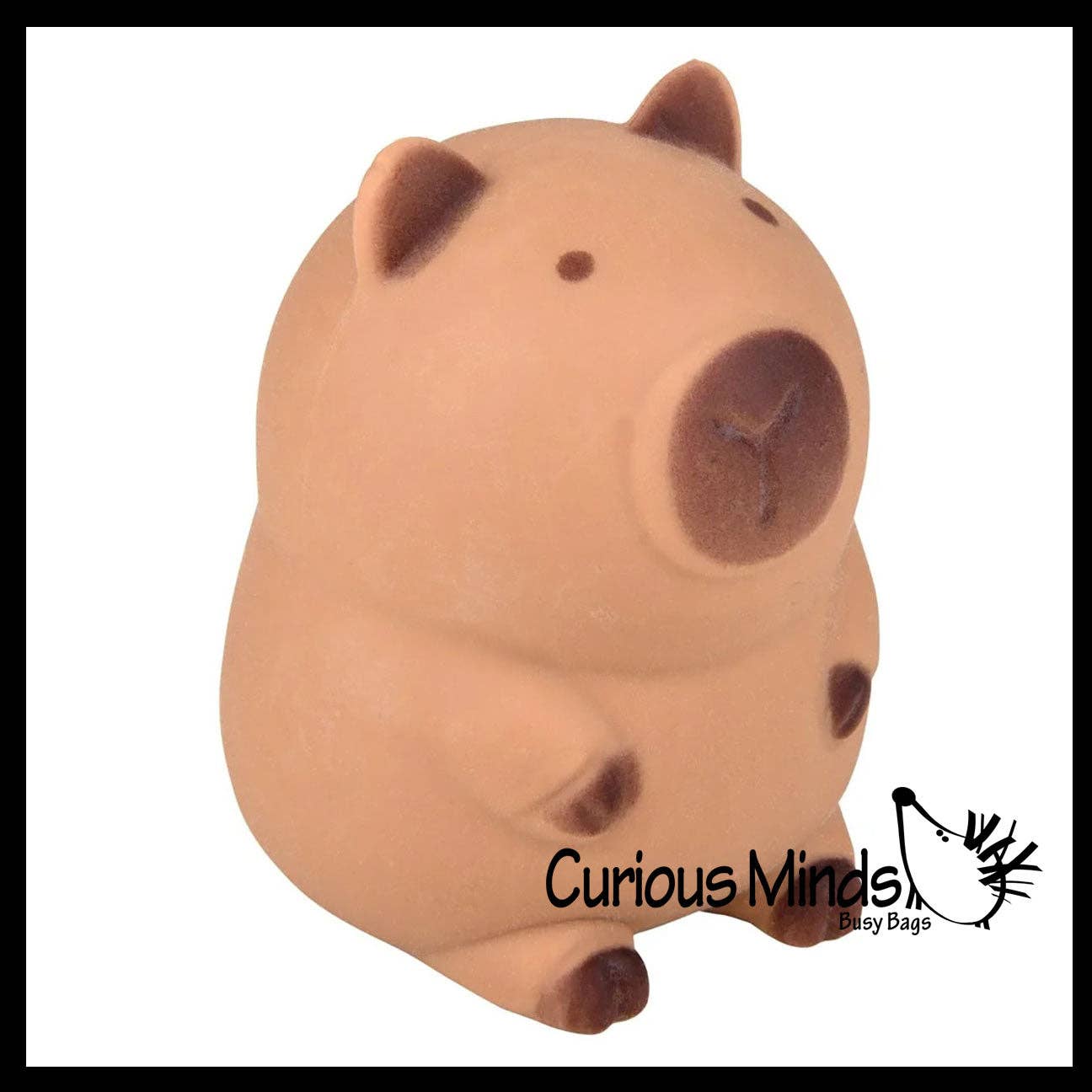 1 Soft Doh Capybara Animal Stress Balls