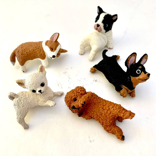PLAYFUL HANGING DOGS BLIND BOX