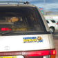 Officer Diversity Hire bumper sticker