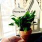 Playing Dead Flower Pot Plant Stake 