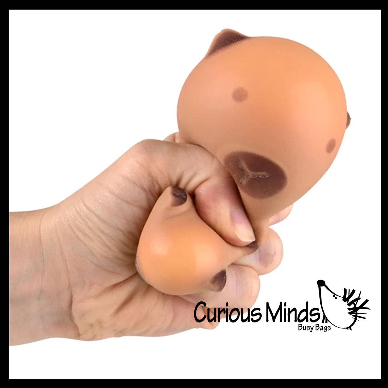 1 Soft Doh Capybara Animal Stress Balls