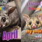 No Thoughts Just Possums Meme Photo Book by Sylvie