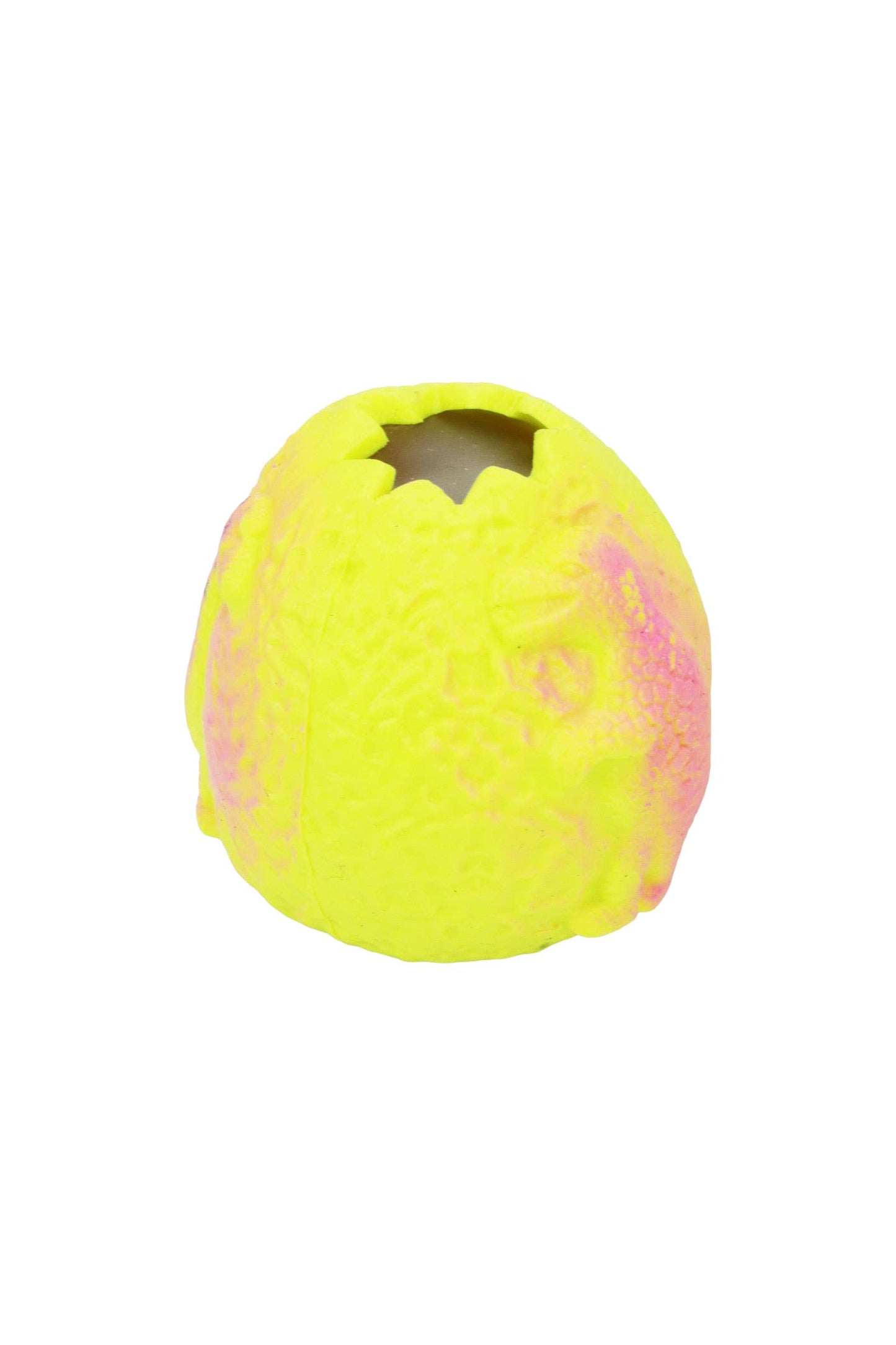 Dinosaur Egg Fossil Figure Water Filled Squishy 1 PC