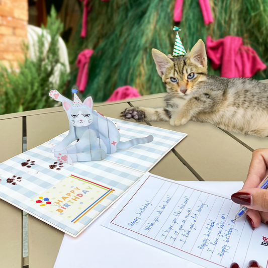 Grumpy Cat  3D Pop-Up Birthday Card