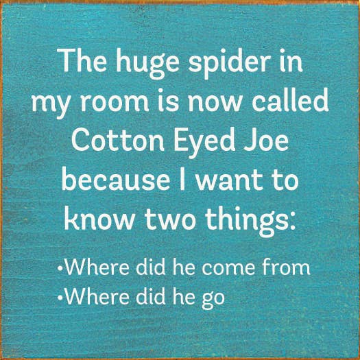 SAWDUST CITY - The Huge Spider In My Room Is Now Called Cotton Eyed Joe