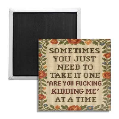 One "Are You F--king Kidding Me" at a Time Fridge Magnet