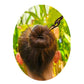 DK Hawaii - Handmade Carved Wooden Hair Stick
