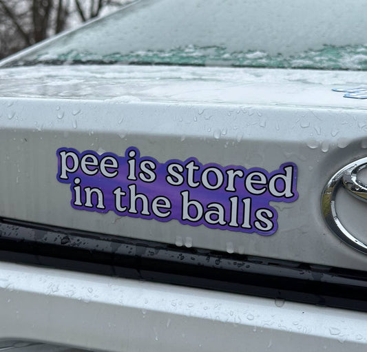 Pee Is Stored In The Balls Car/Fridge Magnet