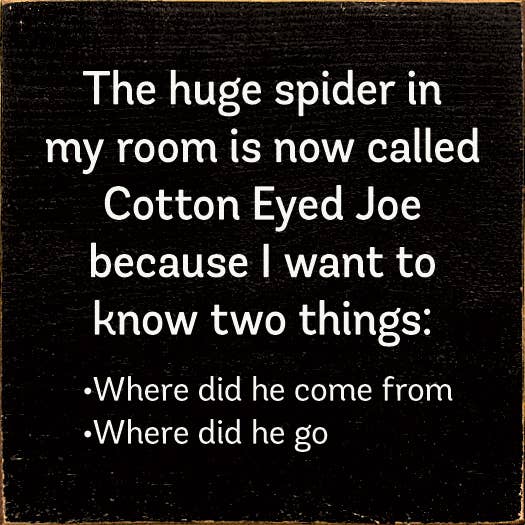 SAWDUST CITY - The Huge Spider In My Room Is Now Called Cotton Eyed Joe