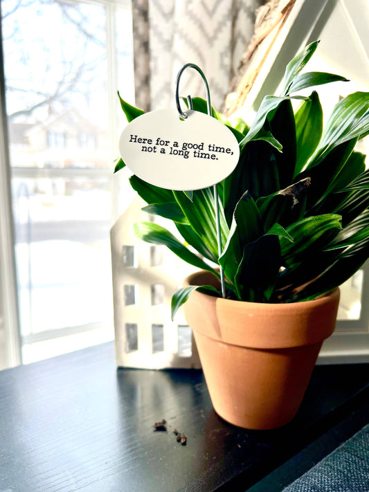 Here For A Good Time Not a Long Time Flower Pot Plant Stake 