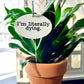 I'm Literally Dying Flower Pot Plant Stake  