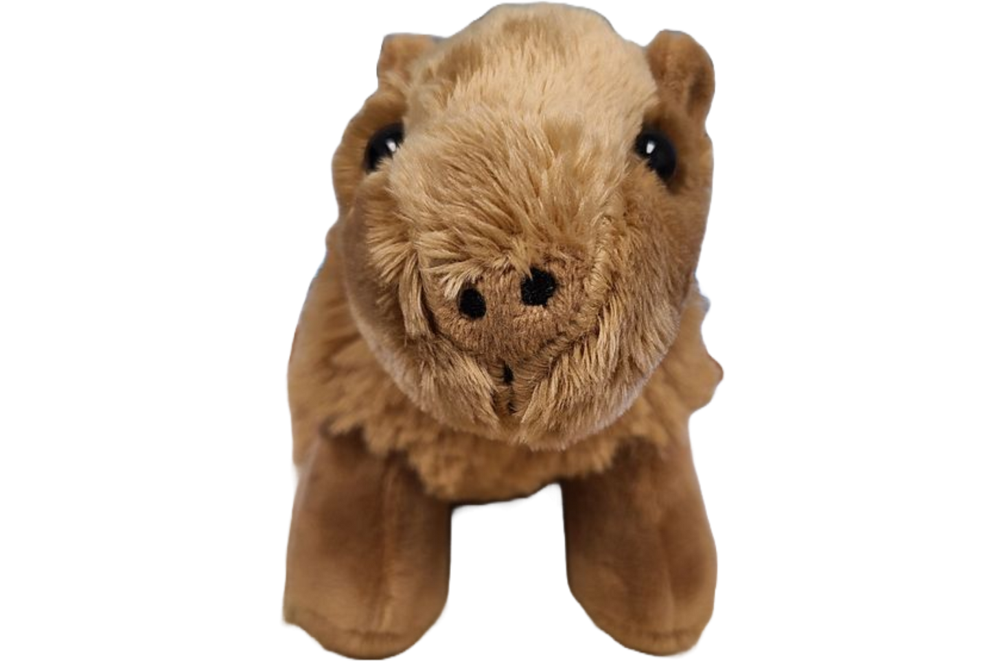 Steve the Canned Capybara | Stuffed Animal Plush w/Jokes