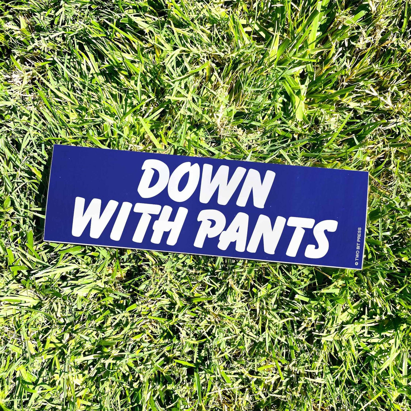 Down With Pants Bumper Sticker