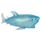 6" SQUEEZY SUGAR SHARK 1PC