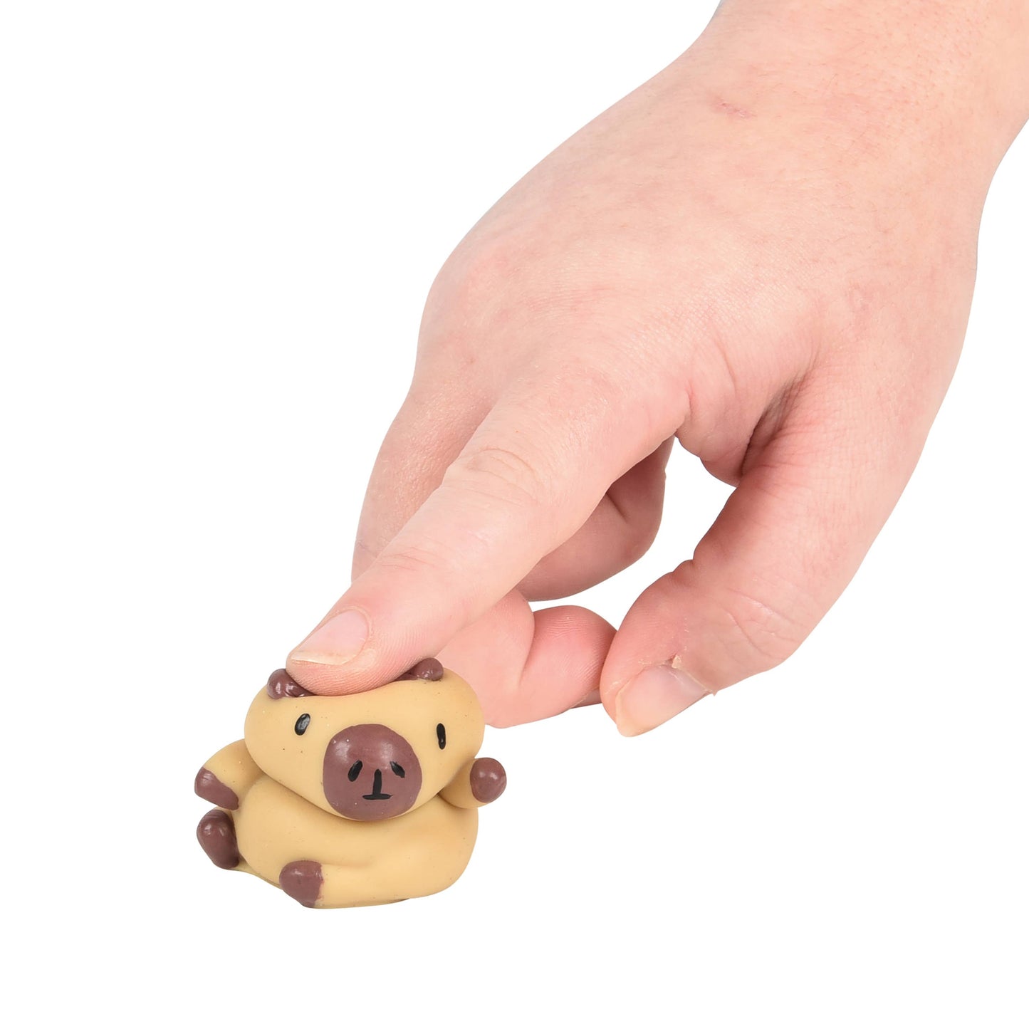 Mini Squishy Capybaras Tub -  12 pieces per tub