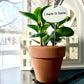 I Hate It Here Flower Pot Plant Stake  