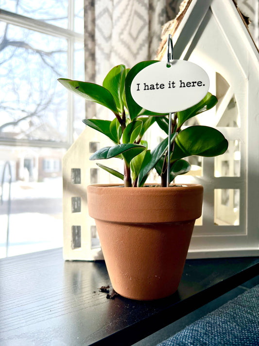 I Hate It Here Flower Pot Plant Stake  
