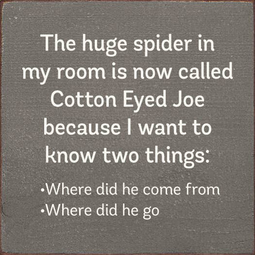 SAWDUST CITY - The Huge Spider In My Room Is Now Called Cotton Eyed Joe