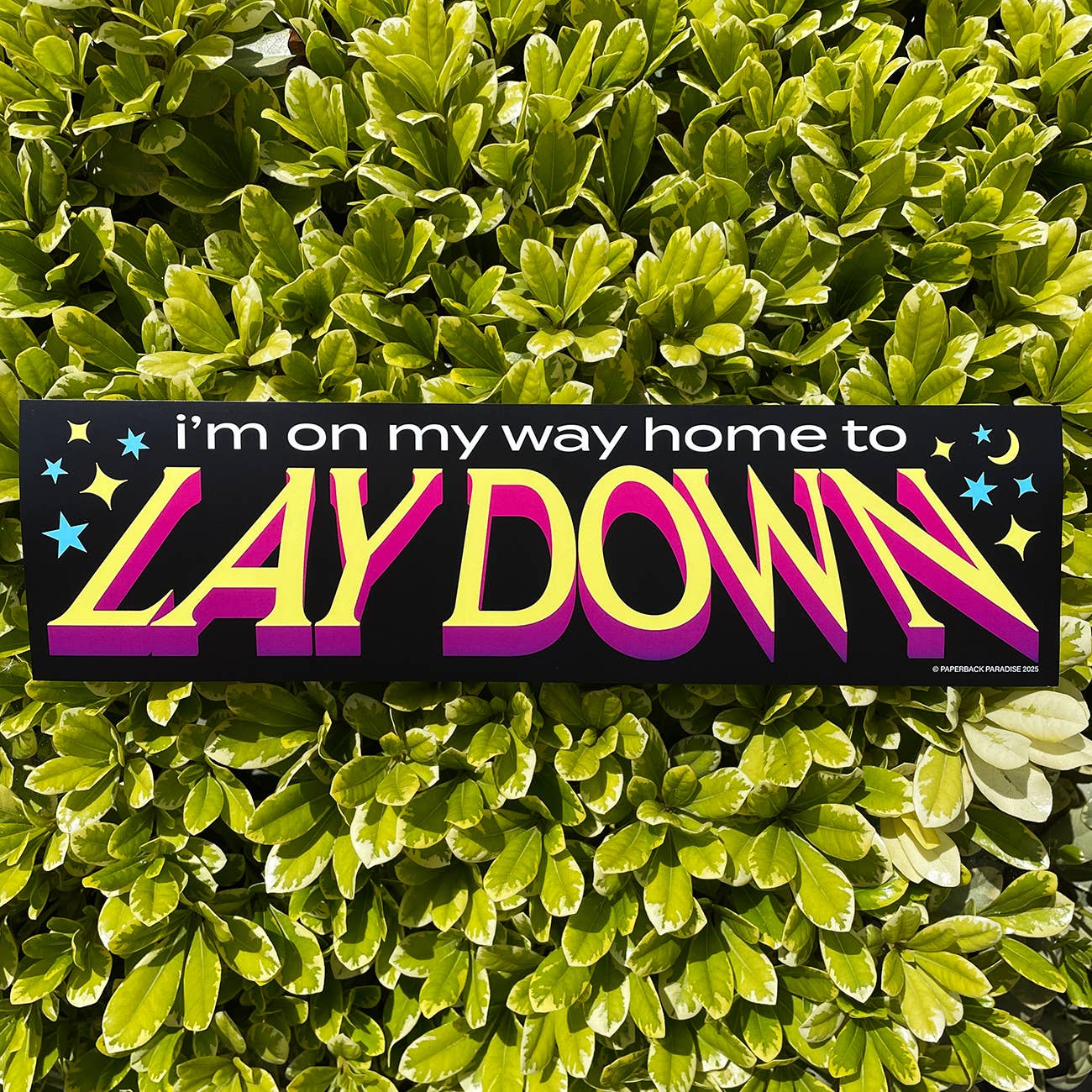 I'm on My Way Home to Lay Down Bumper Sticker