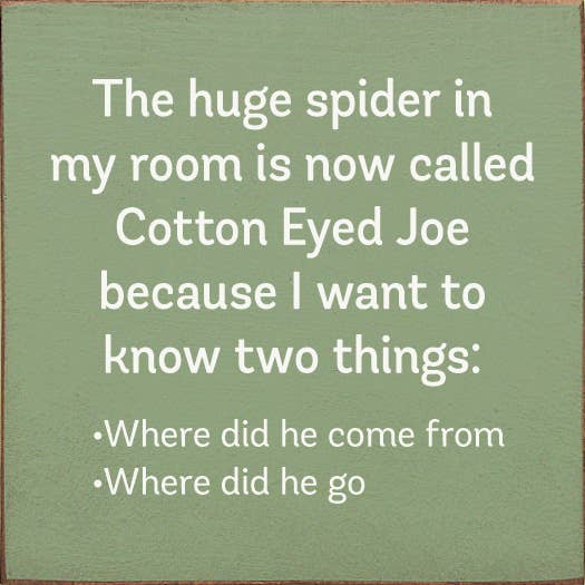 SAWDUST CITY - The Huge Spider In My Room Is Now Called Cotton Eyed Joe
