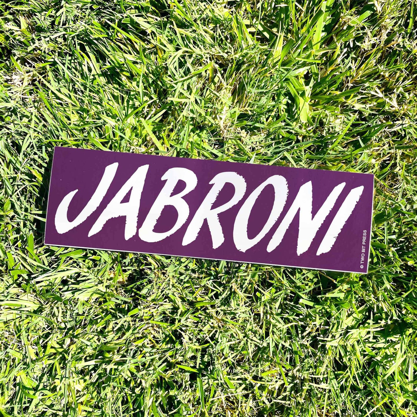JABRONI Bumper Sticker
